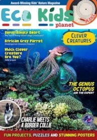Eco Kids Mag