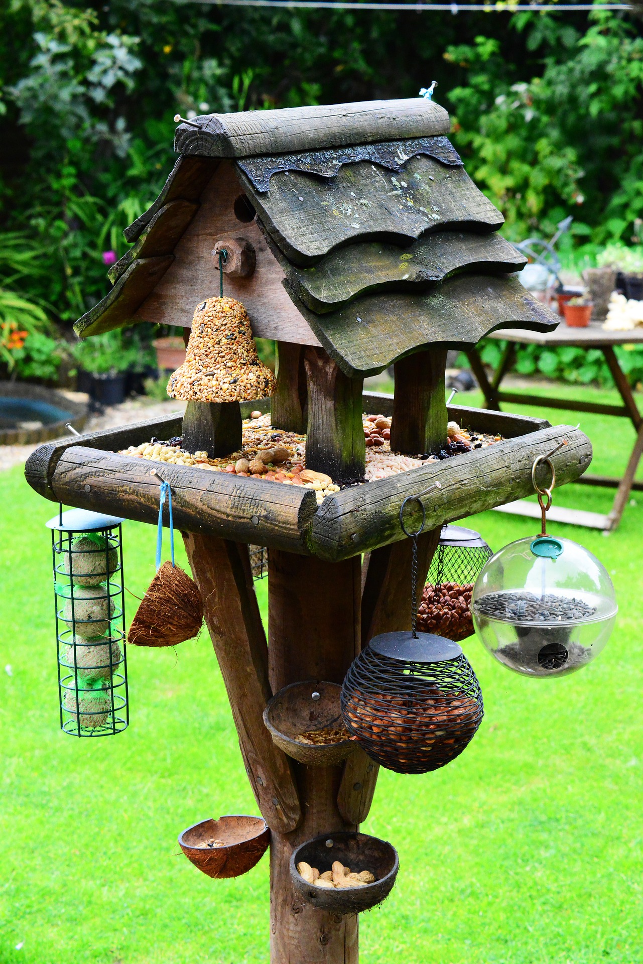 strange birdfeeder