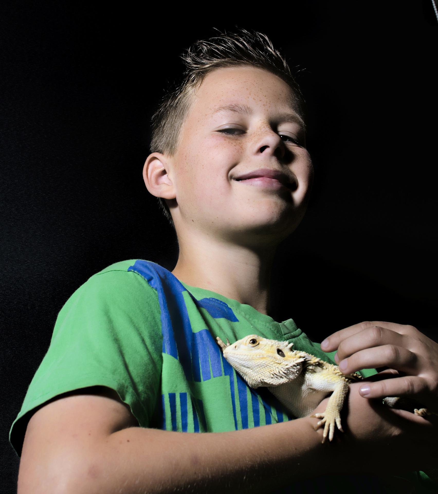 gecko n boy pixabay gecko n boy pixabay