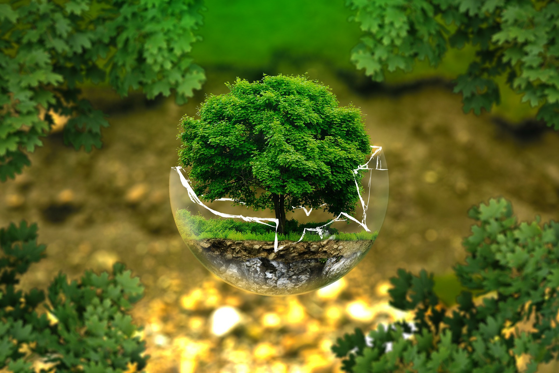 globe in egg shell pixabay