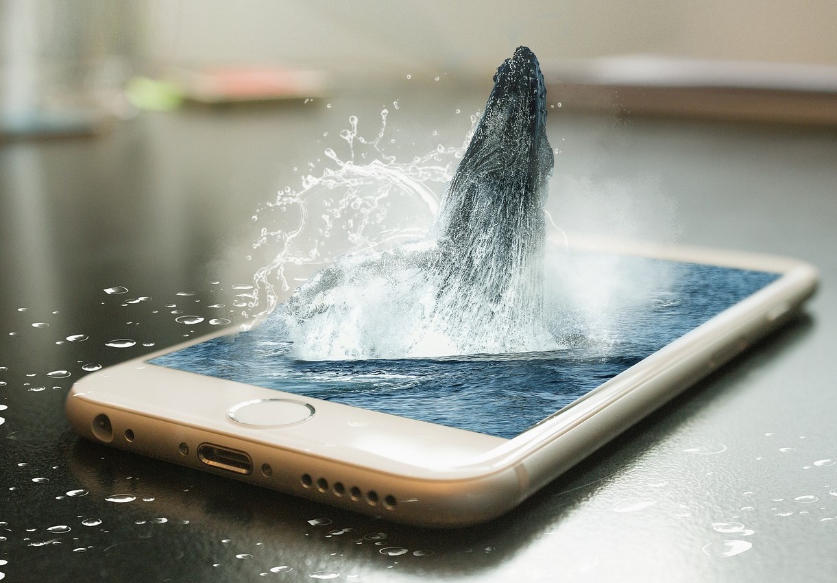 how to save the whale technology