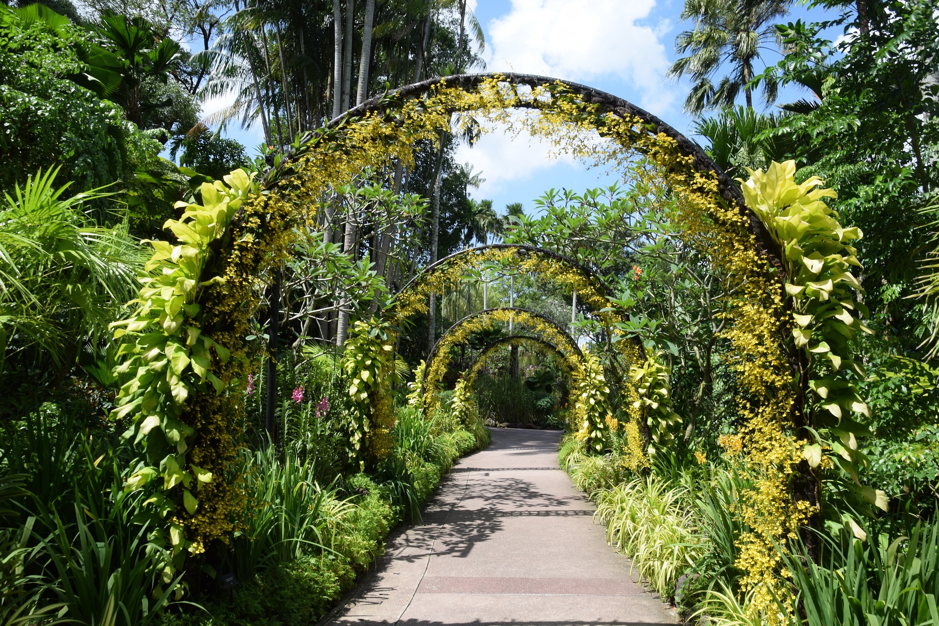 singapore garden